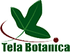 Tela Botanica